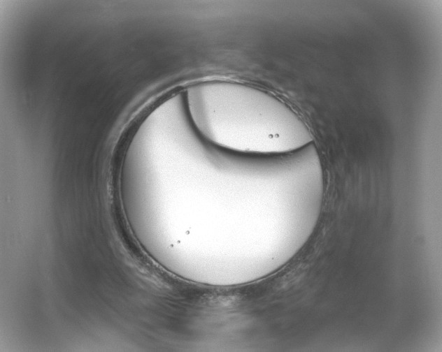 X0000066120247200603101049