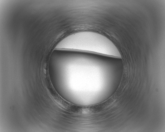 X0000066120264200603101049