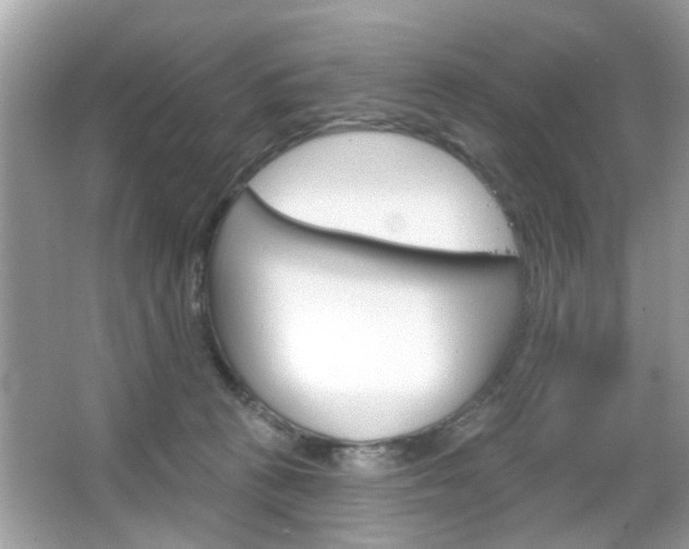 X0000066120273200603101049