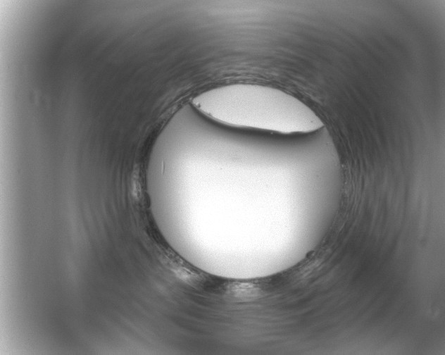 X0000066120287200603101049