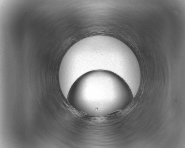 X0000066120288200603101049