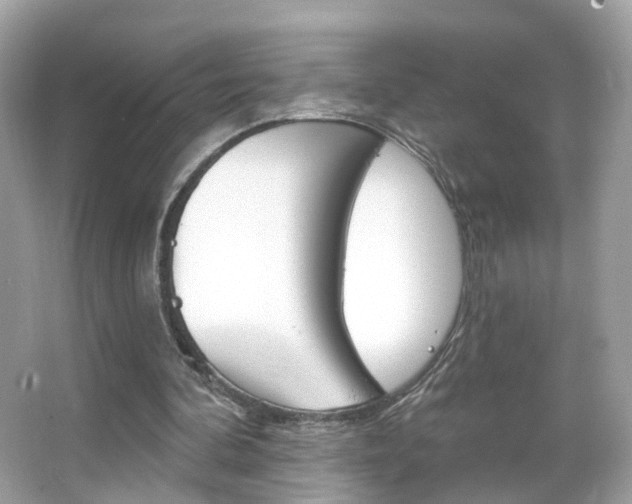 X0000066120292200603101049