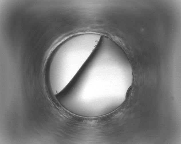 X0000066120295200603101049