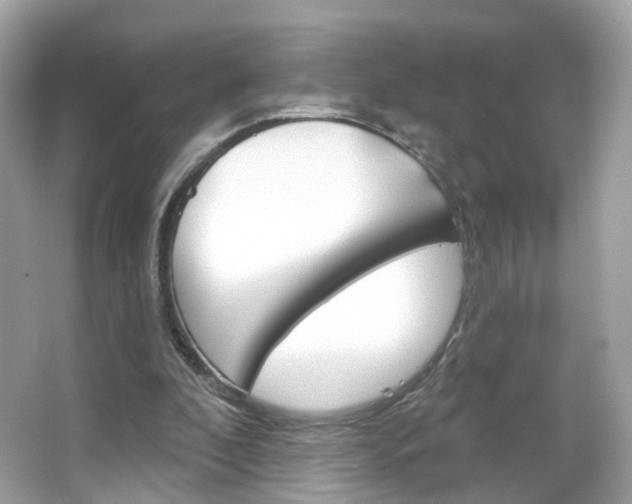 X0000066120296200603101049