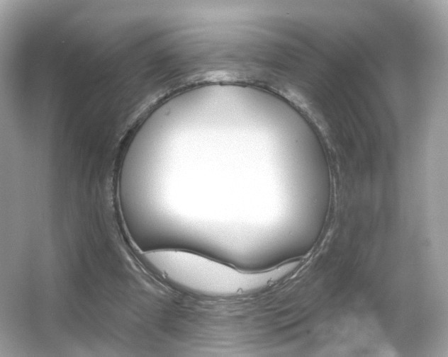 X0000066120297200603101049