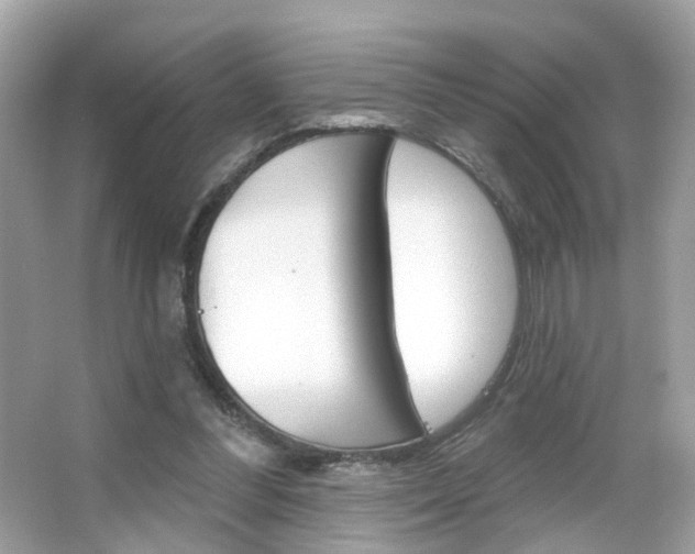 X0000066120300200603101048