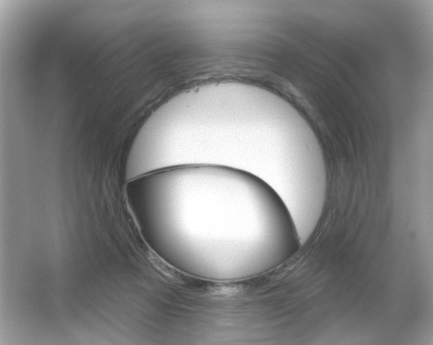 X0000066120313200603101048