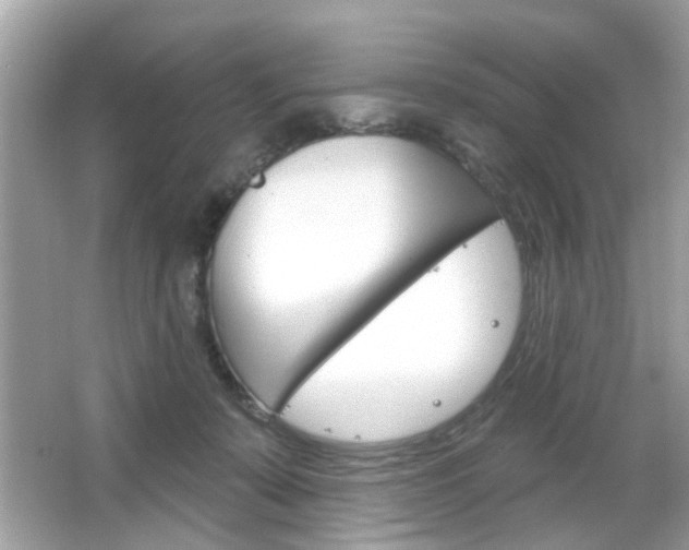X0000066120319200603101048