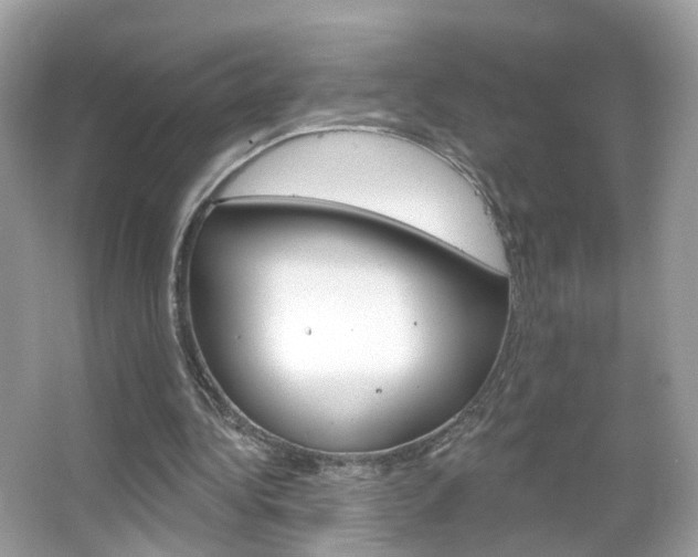 X0000066120340200603101047