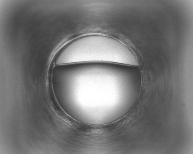 X0000066120344200603101047