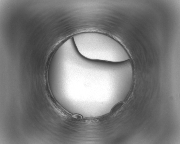X0000066120345200603101047