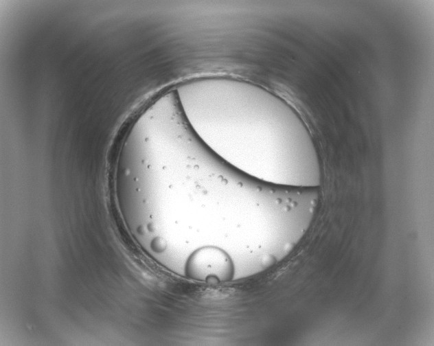 X0000066120346200603101047