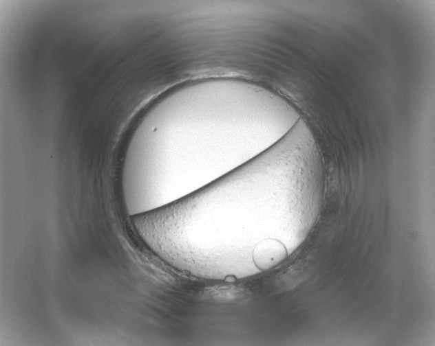 X0000066120351200603101047