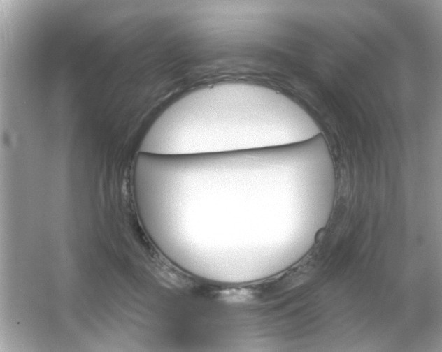 X0000066120363200603101047