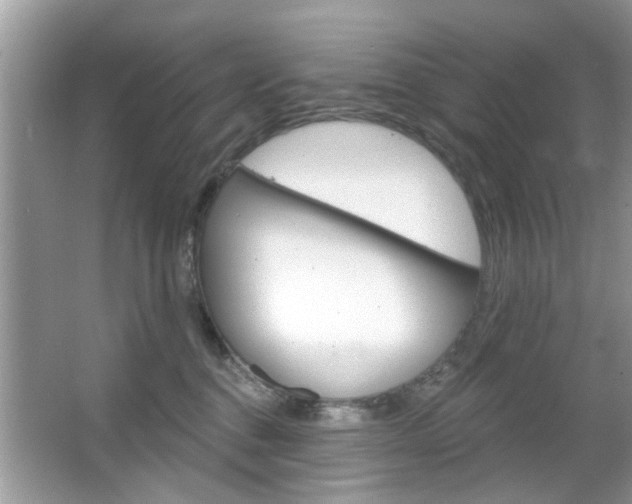 X0000066120376200603101048