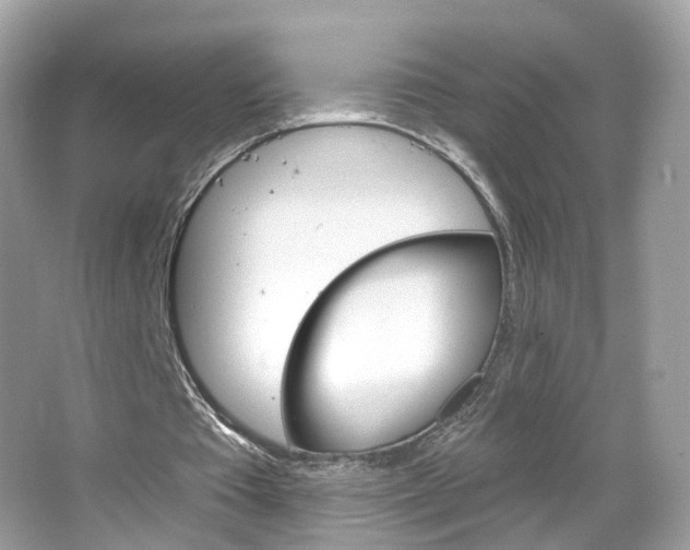 X0000066120385200603101047