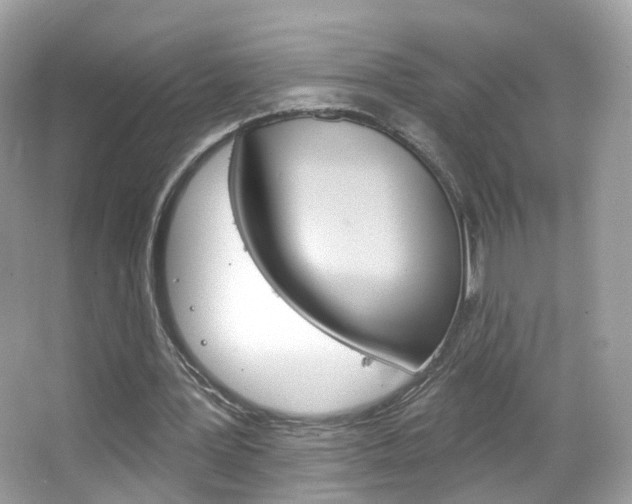 X0000066120387200603101047
