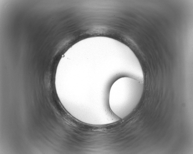 X0000066120396200603101047