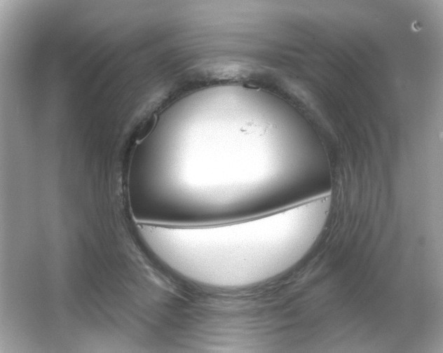X0000066120407200603101047