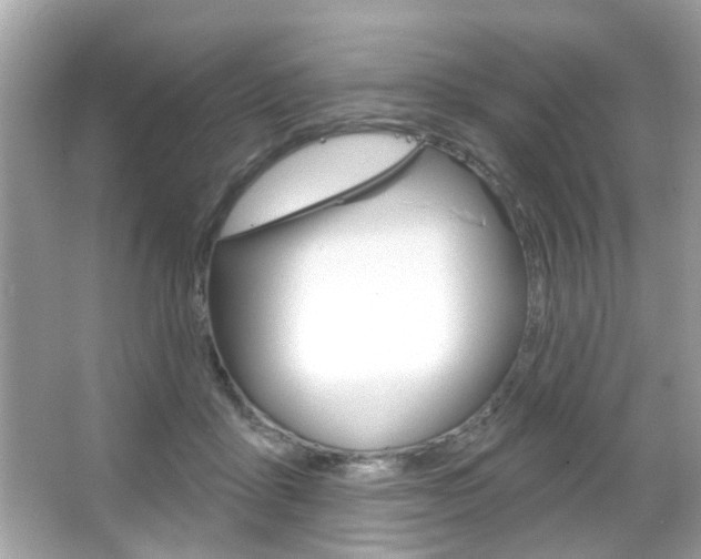 X0000066120411200603101047