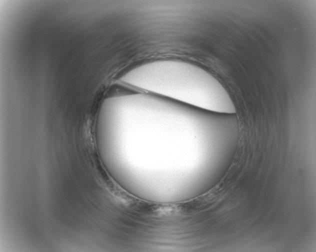 X0000066120415200603101047