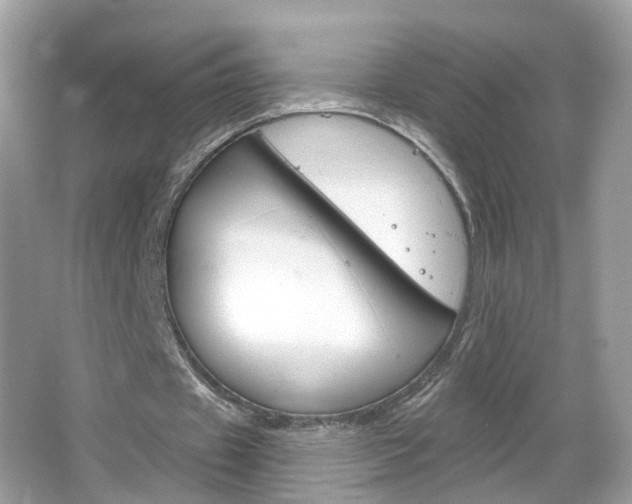 X0000066120433200603101045