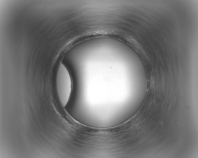 X0000066120444200603101046