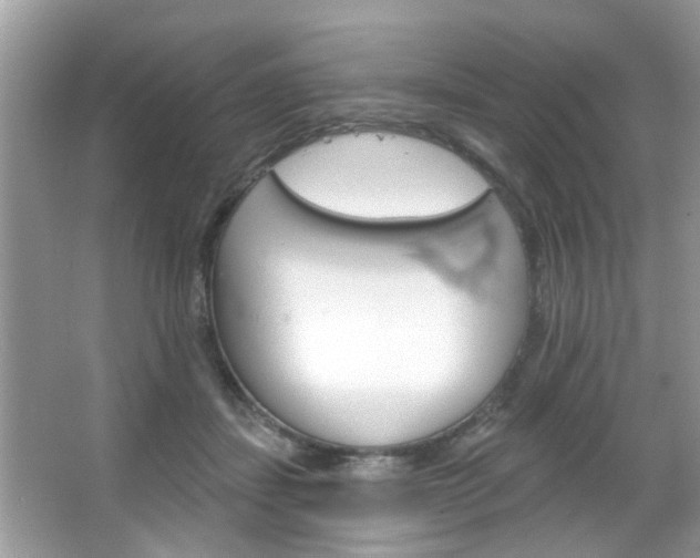 X0000066120459200603101046