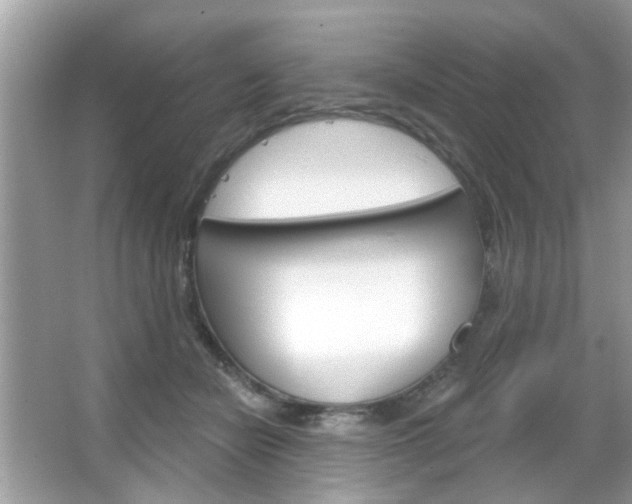 X0000066120462200603101046