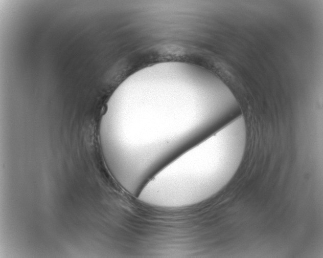 X0000066120463200603101046