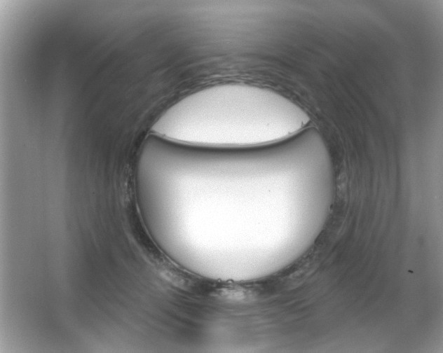 X0000066120464200603101046
