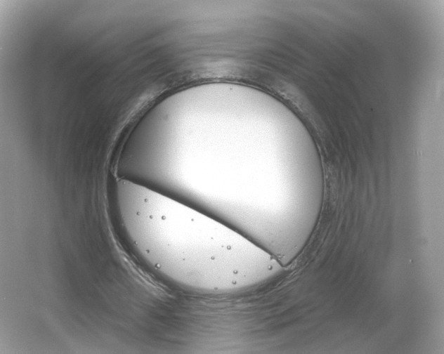 X0000066120482200603101045