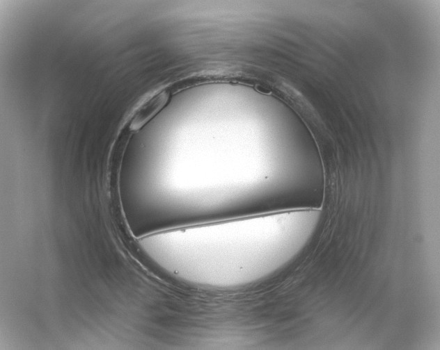 X0000066120484200603101045