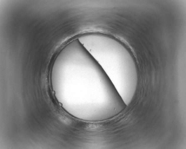 X0000066120487200603101045