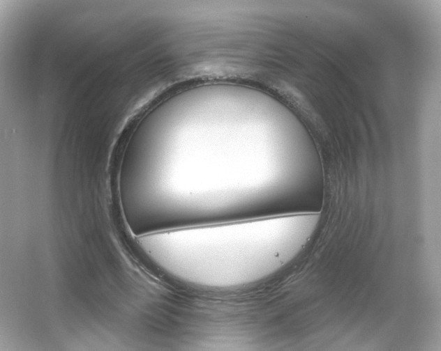 X0000066120488200603101045