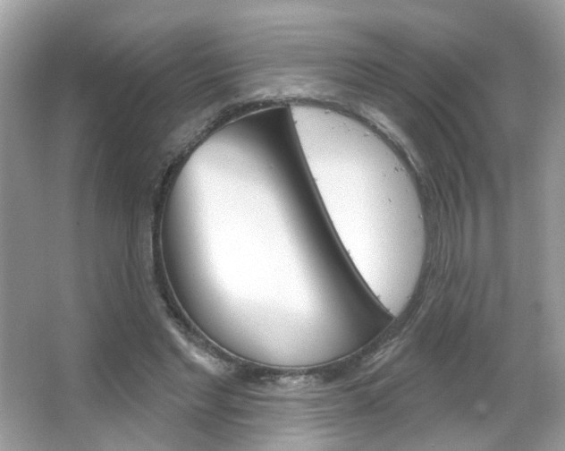 X0000066120493200603101045