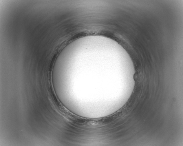 X0000066120498200603101045