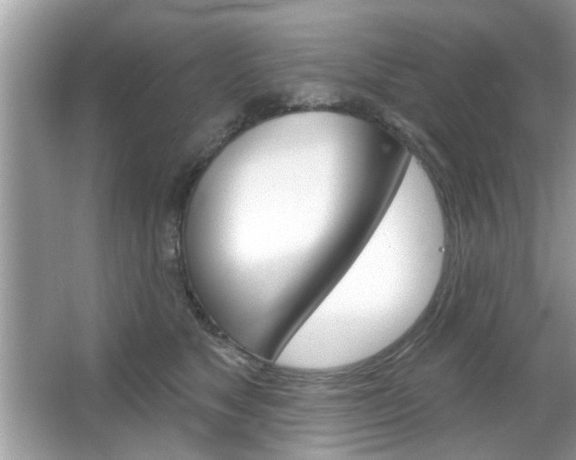 X0000066120517200603101045