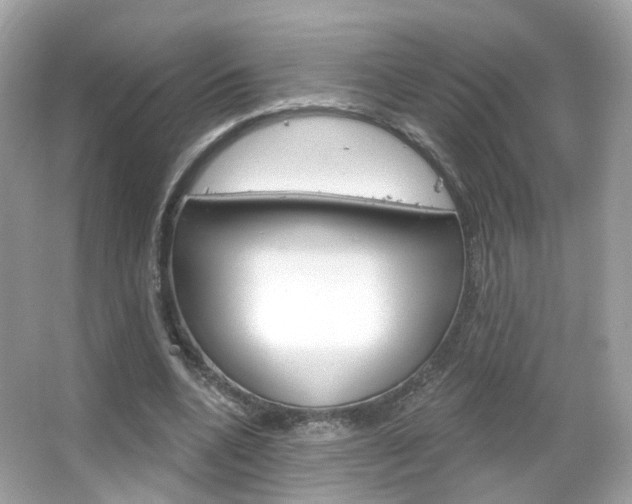 X0000066120536200603101044