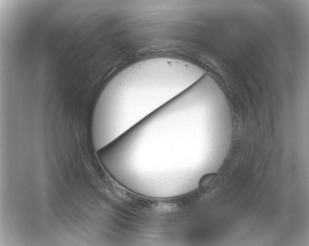 X0000066120549200603101044