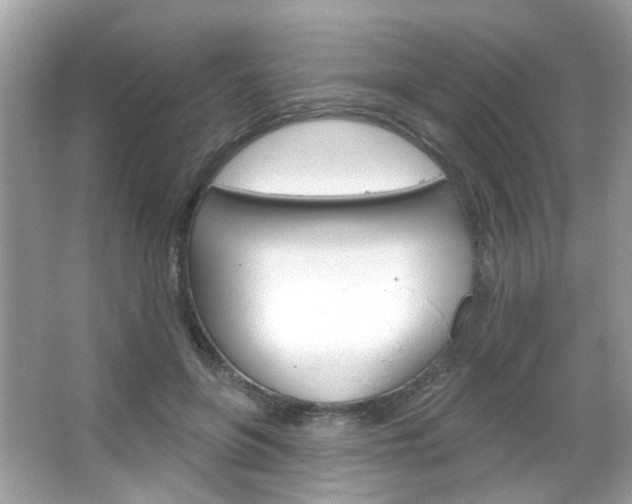 X0000066120551200603101044