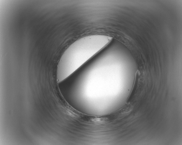 X0000066120558200603101044