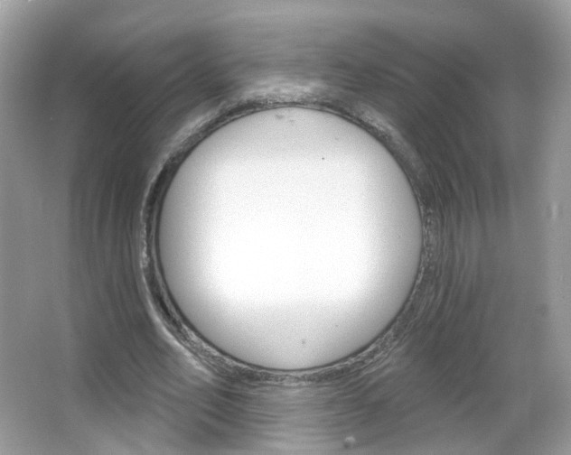 X0000066120582200603101044