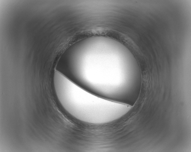 X0000066120593200603101043