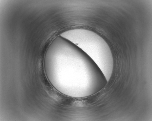 X0000066120595200603101043