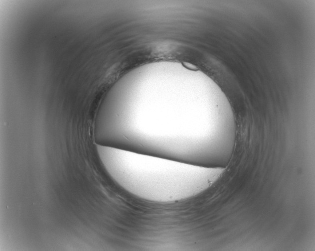 X0000066120603200603101043