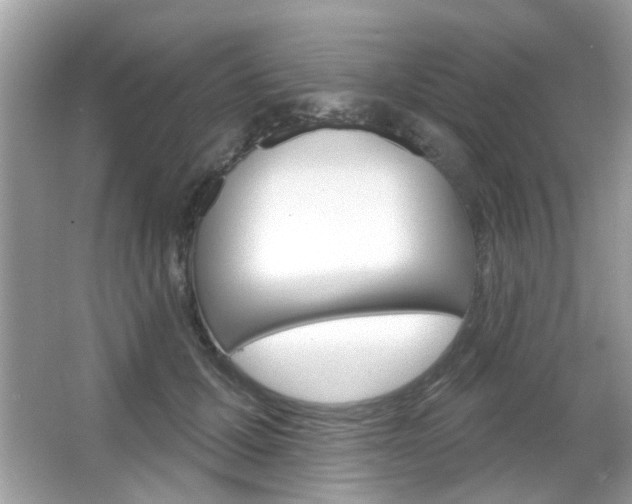 X0000066120607200603101043