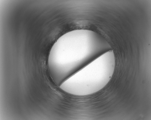 X0000066120615200603101043