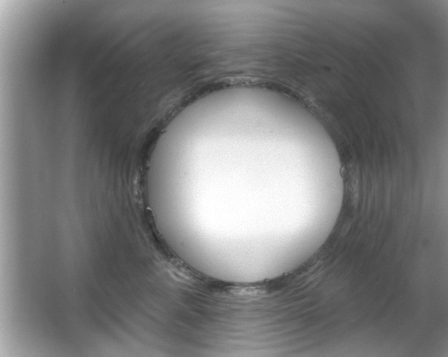 X0000066120619200603101043