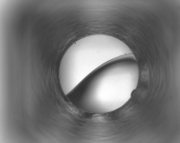 X0000066120620200603101043